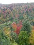 View from Big Run Scenic Overlook